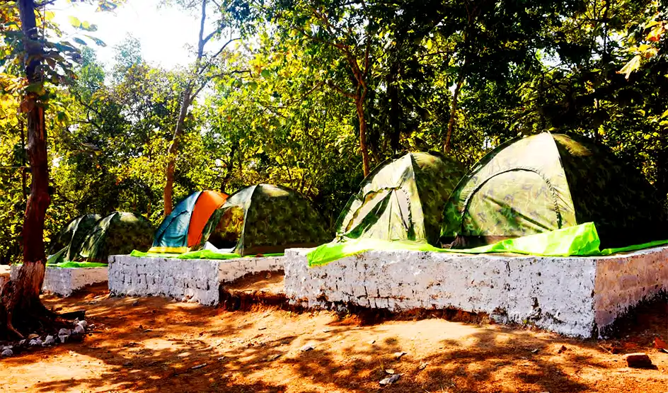 Forest Camping At Kalakund, Indore
