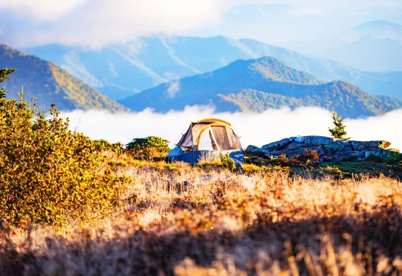 Camping in Kufri, Mashobra