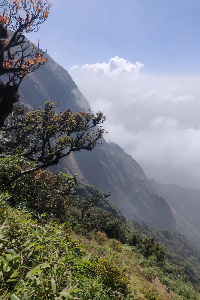 Kumara Parvatha Trek Coorg