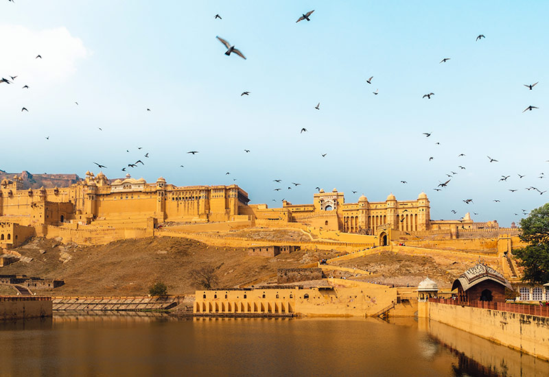 Jaipur Night Food Tour