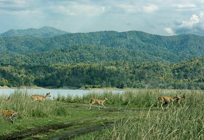 Jim Corbett Wildlife Tour with Mussoorie