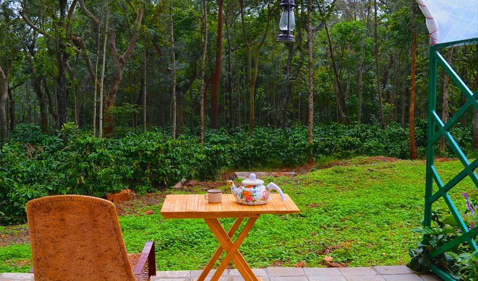 Chikmagalur Coffee Estate Tour Today’s offer Rs.1180 ( 22 off)