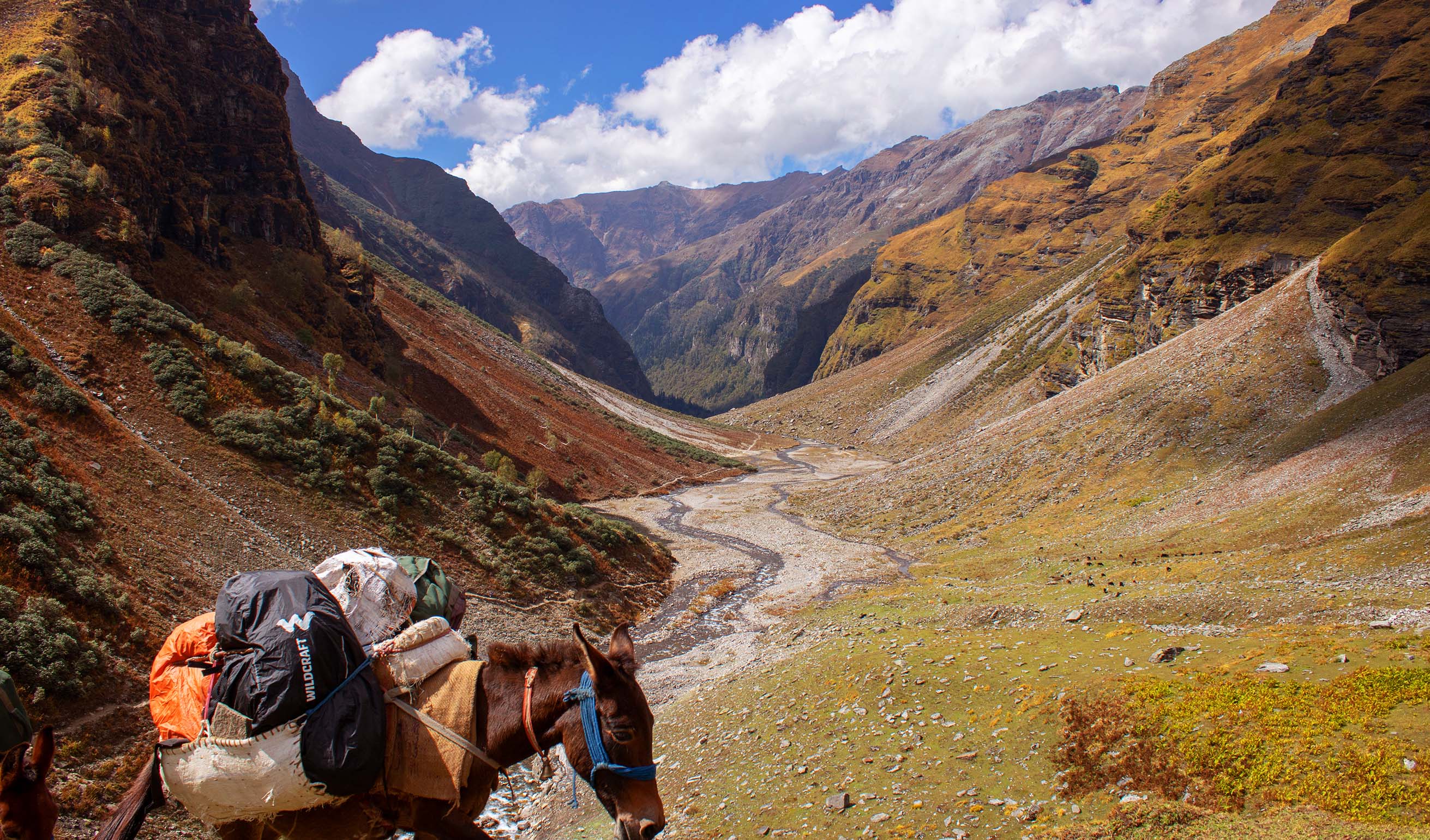 Rupin Pass Trek from Dehradun 2023