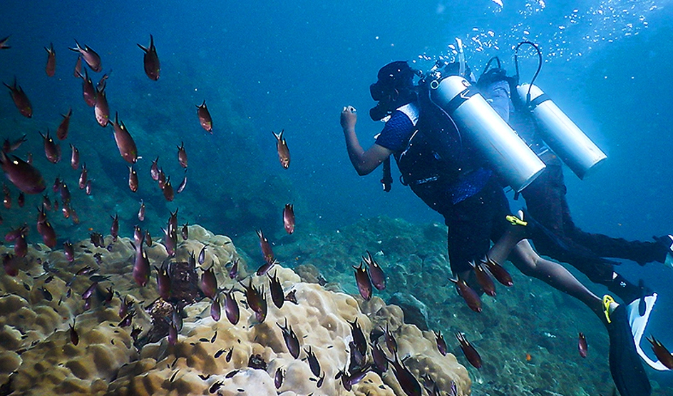 Scuba Diving in Murudeshwar, Gokarna Today’s offer Rs.1499 ( 26 off)