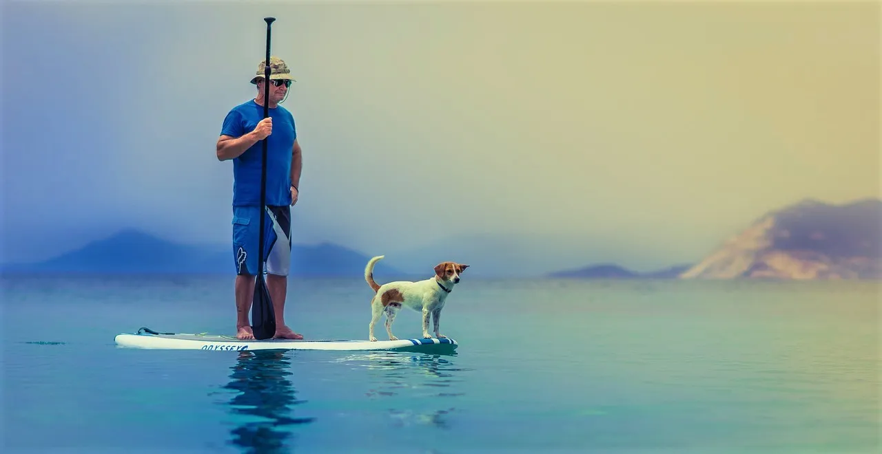 Stand Up Paddling in Kochi