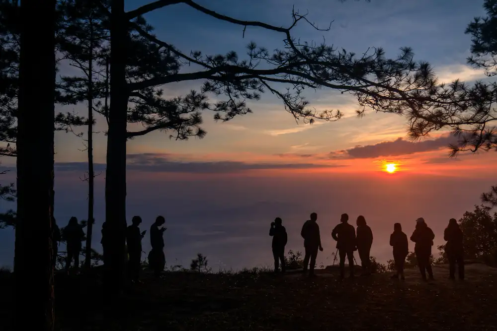 Night Trek At Vikatgad, Karjat