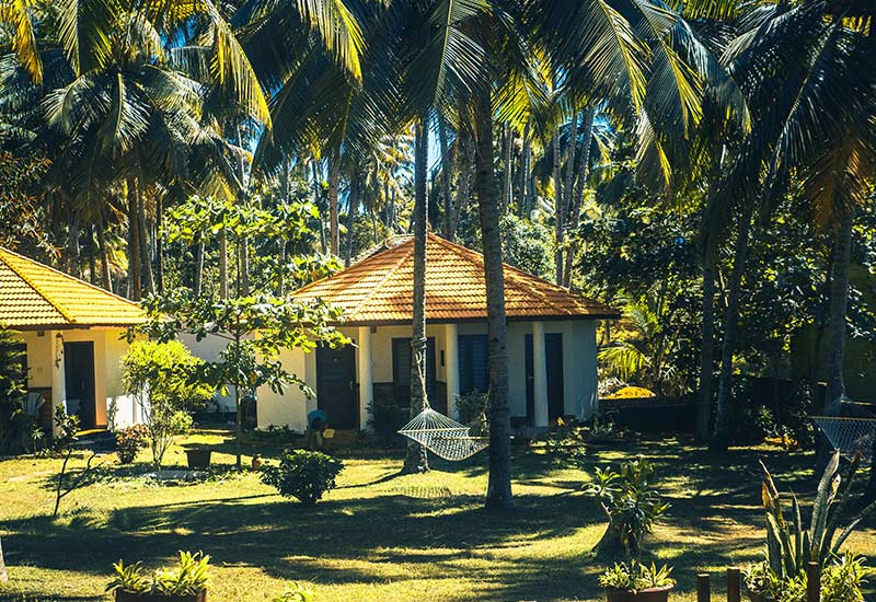 Munnar Tour from Cochin